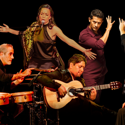 Flamenco INSPIRACIÓN by Patricio Grande